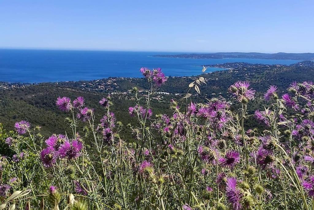 Aphrodite By Kleidos - Tres Belle Maison 6 P Climatisee Golfe Sainte Maxime Roquebrune-sur Argens Ngoại thất bức ảnh